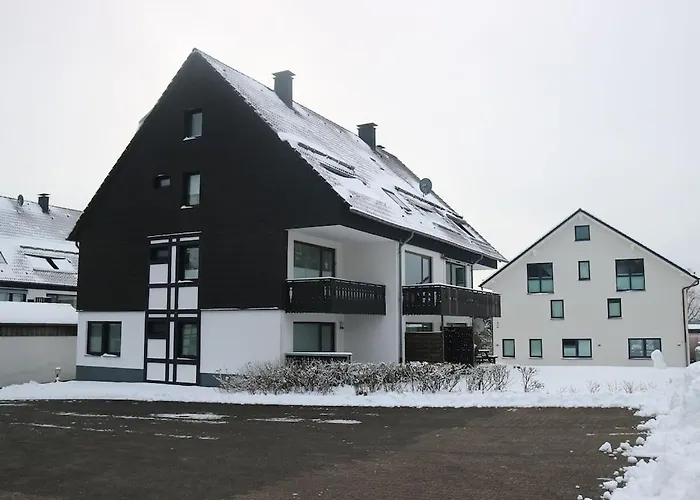 Inviting Apartment In Winterberg Near The Ski Area