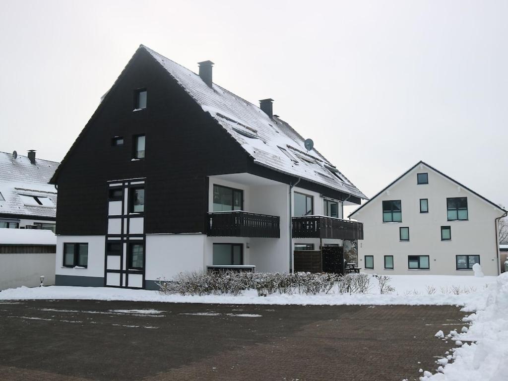 Inviting In Near The Area Apartment Winterberg